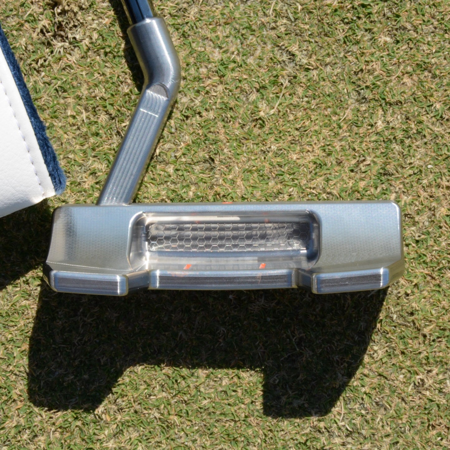 Danger Golf Rhyno Putter back cavity design.