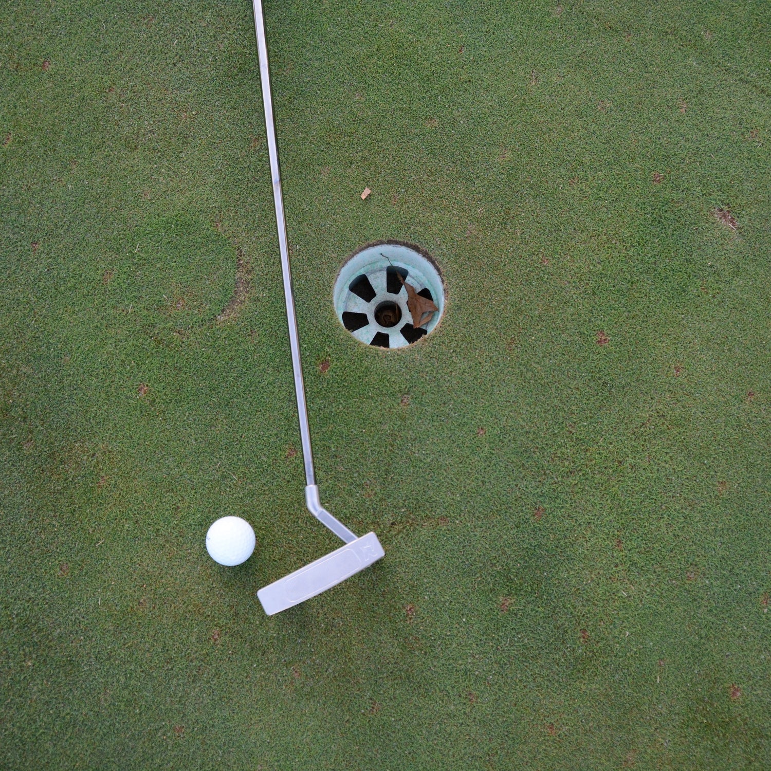 Danger Golf Rhyno Putter laying on a green next to a golf hole and ball.